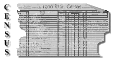 Census Sheet