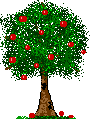 Tree with Fruit